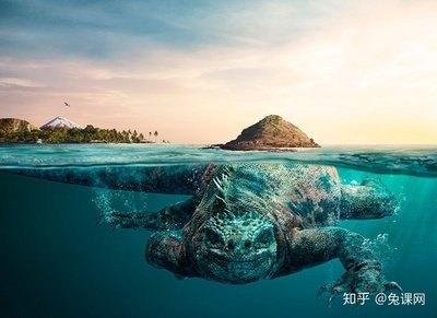 自然界中的平面设计
