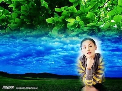 自然界中的平面设计