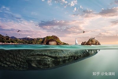 自然界中的平面设计