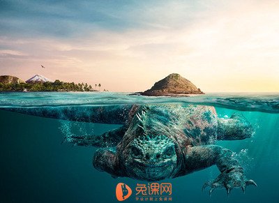 自然界中的平面设计