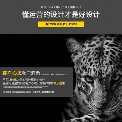 不做平面设计做什么