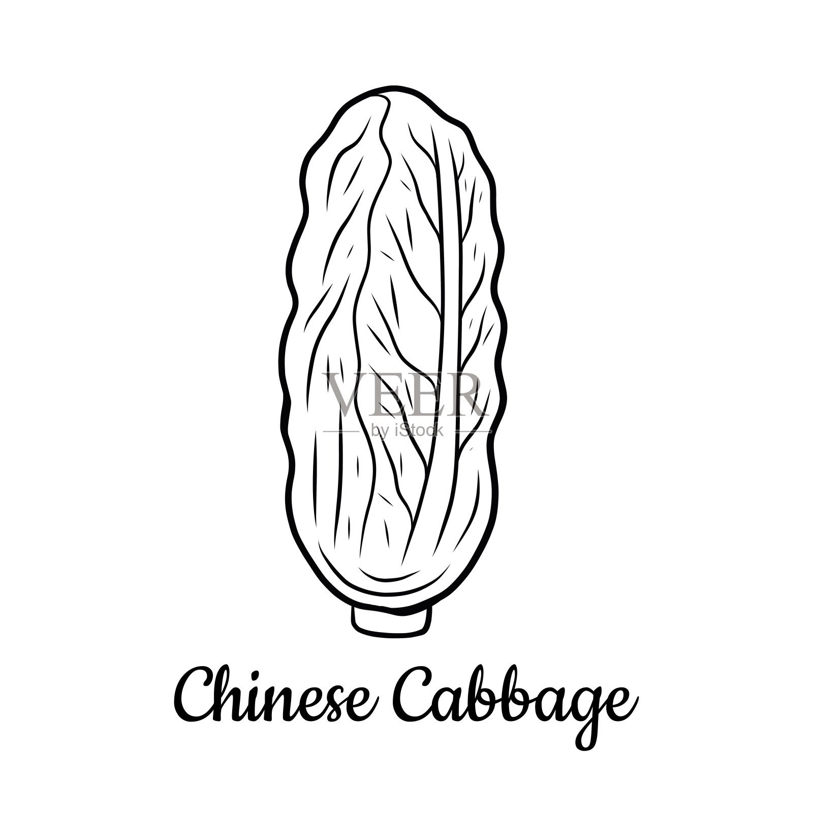 白菜平面设计图纸大全集
