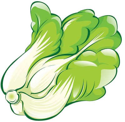 白菜平面设计图纸大全集