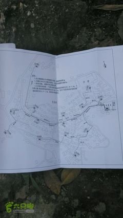 临沧做平面设计咨询哪家好