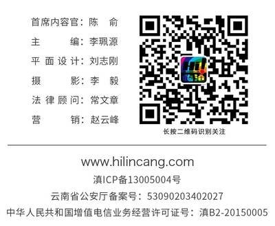 临沧做平面设计咨询哪家好