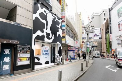 日本平面设计广告奶牛