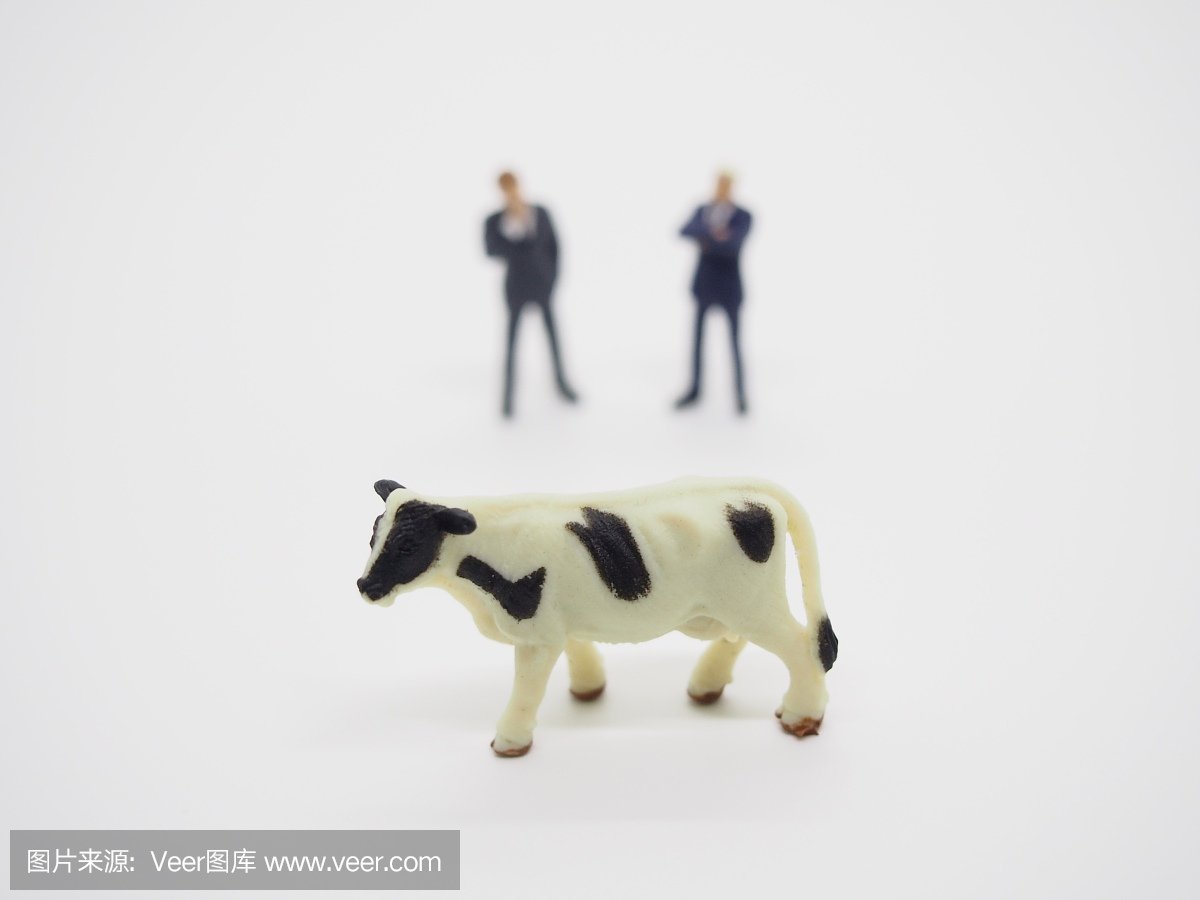 日本平面设计广告奶牛