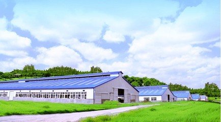 黑龙江农村平面设计