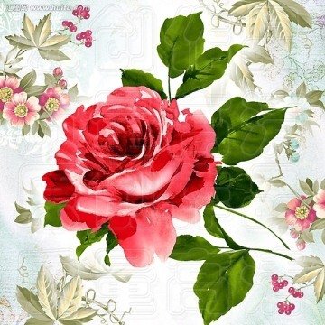 装饰画花卉平面设计