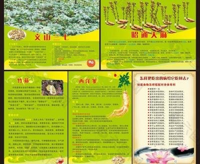 文山平面设计哪家好点儿