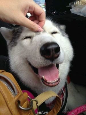 平面设计实习复试上机