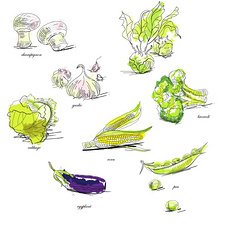 茄子插画平面设计图