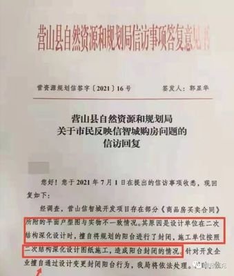 平面设计单位意见