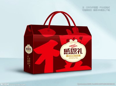 礼盒包装平面设计图