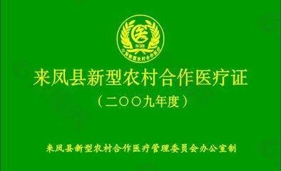 来凤平面设计