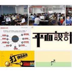 平面设计专业相关政策法规