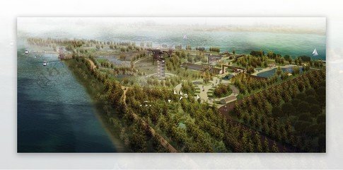 生态岛景观平面设计