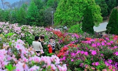 公园观景亭平面设计案例
