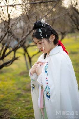 拍摄汉服平面设计图