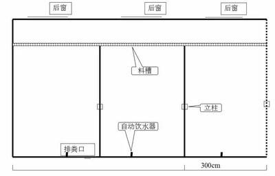 大型猪场平面设计图