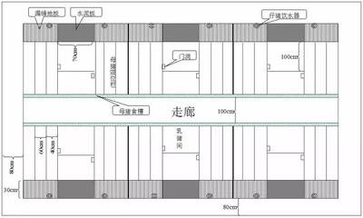 大型猪场平面设计图