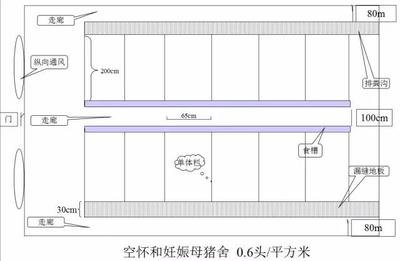 大型猪场平面设计图