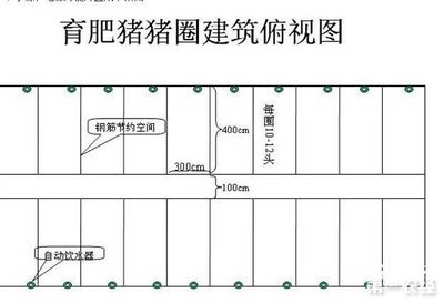大型猪场平面设计图
