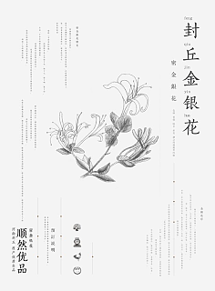 封丘平面设计培训学校电话
