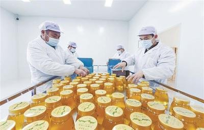 加工蜂蜜平面设计