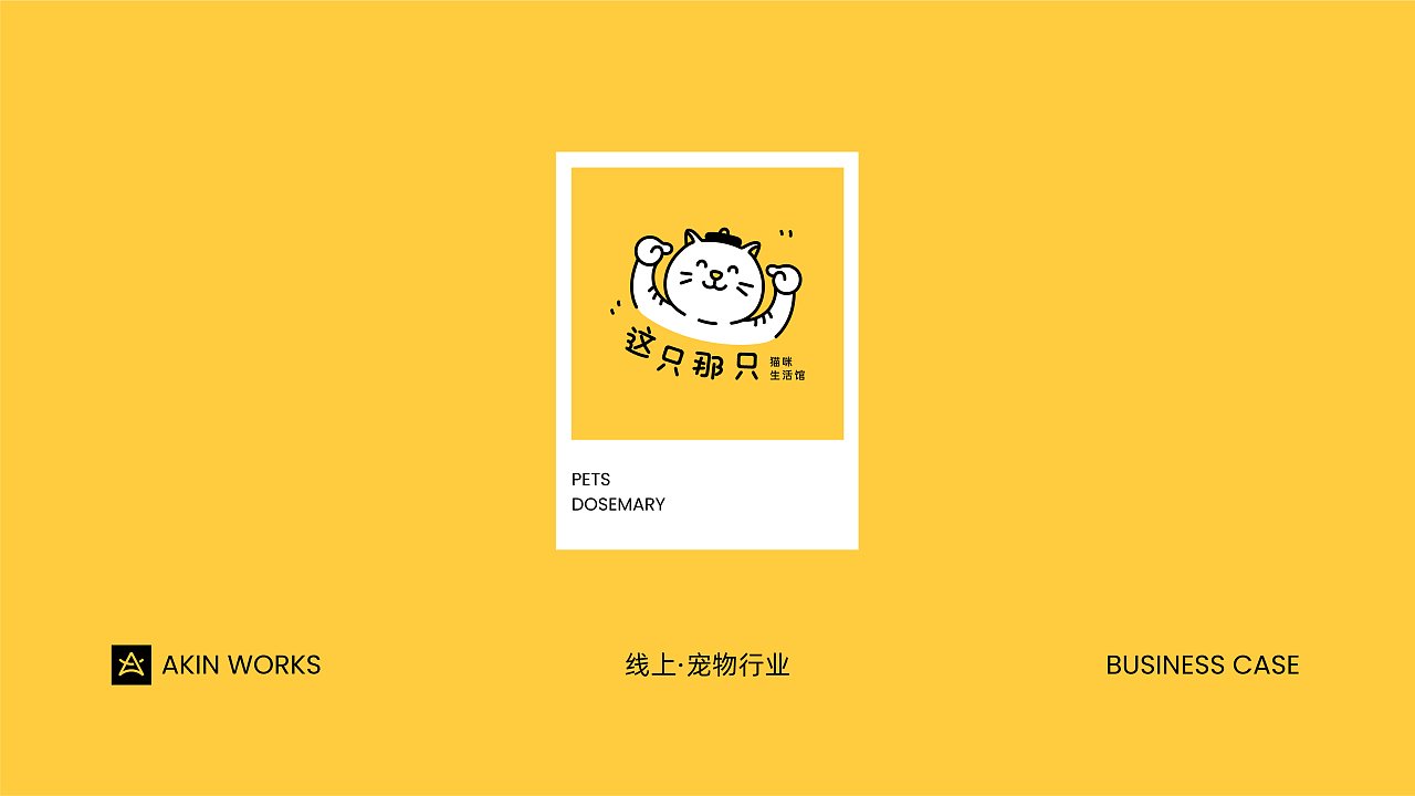 宠物行业平面设计方案