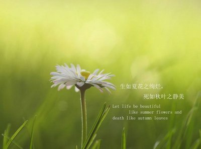平面设计师心情说说