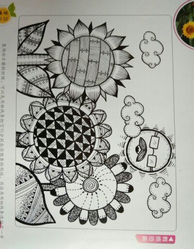 考研线描平面设计