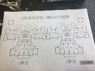 平面设计帮画图