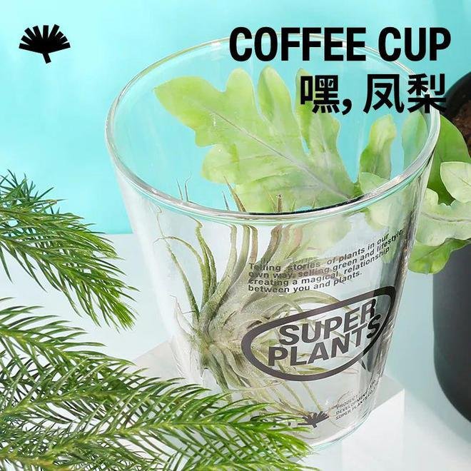 超级植物公司平面设计理念