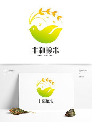 安徽常见平面设计联系方式