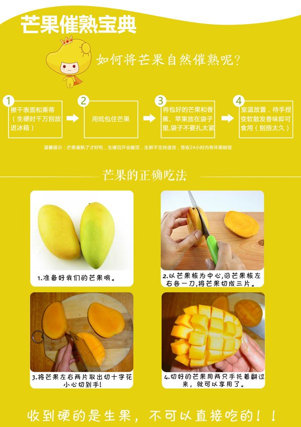 柠檬平面设计说明图片