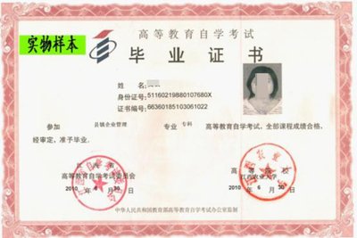 平面设计的证件图片